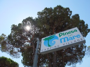 Pineta sul Mare 2012 003