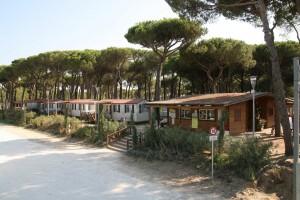pineta 3