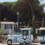 Pineta sul Mare 2012 037 - banner