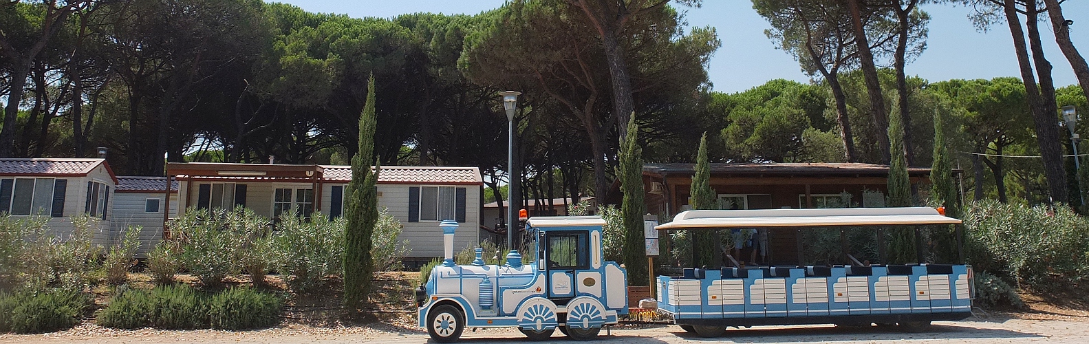 Pineta sul Mare 2012 037 - banner