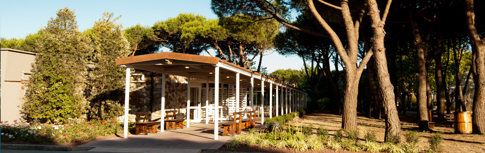 osteria sole
